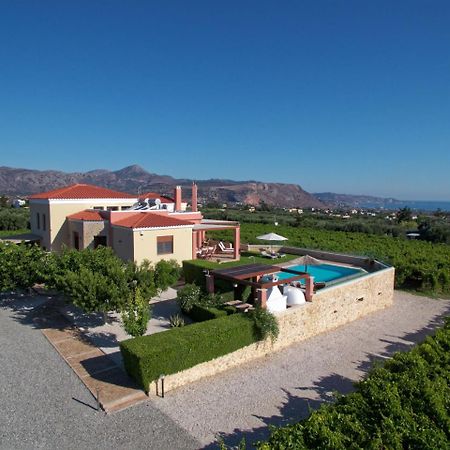 Cretan Vineyard Hill Villa Kato Kalesia Esterno foto
