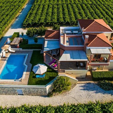 Cretan Vineyard Hill Villa Kato Kalesia Esterno foto