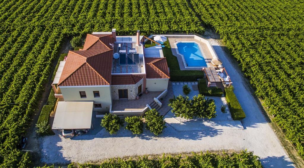 Cretan Vineyard Hill Villa Kato Kalesia Esterno foto