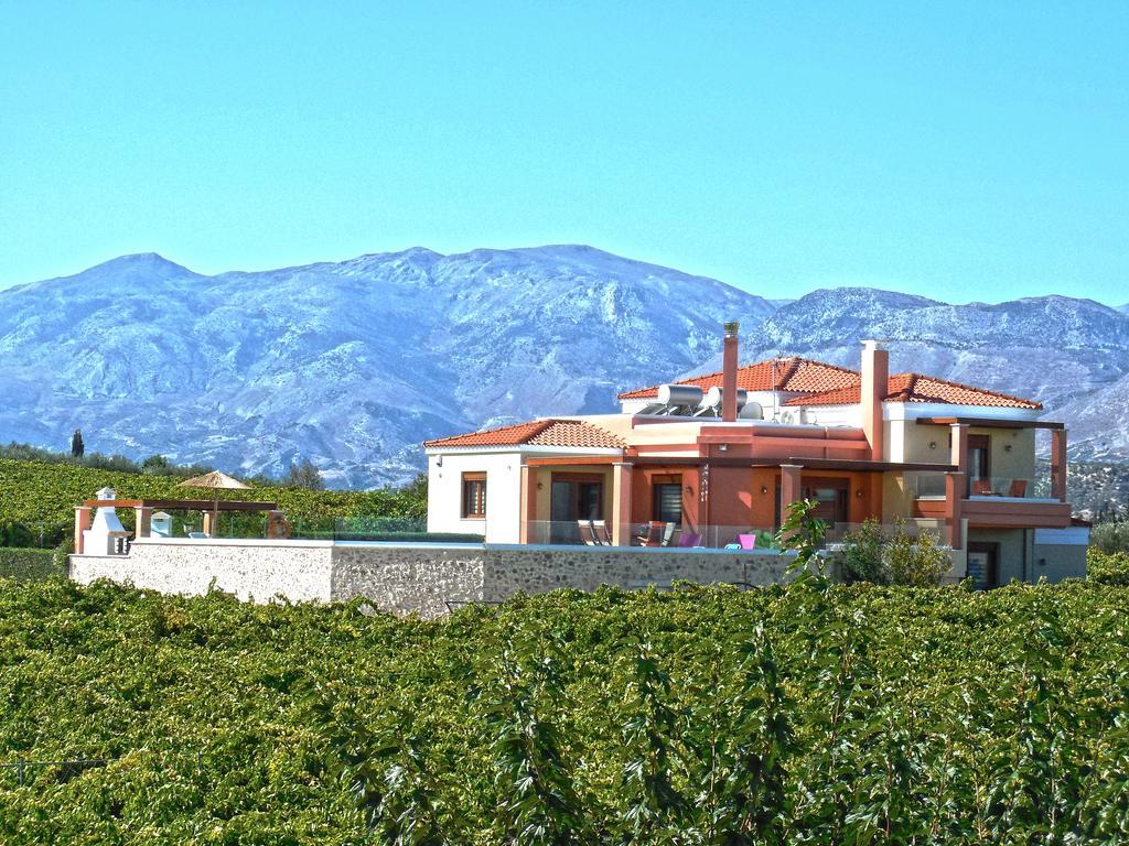 Cretan Vineyard Hill Villa Kato Kalesia Esterno foto