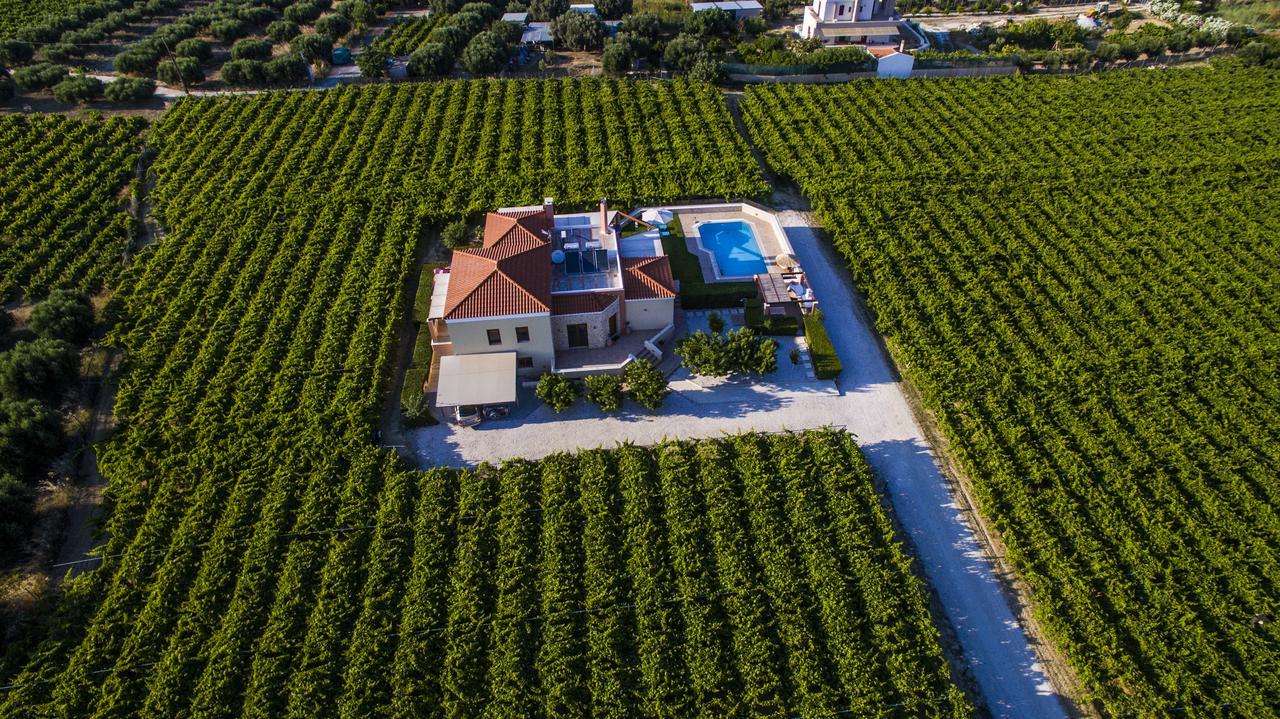 Cretan Vineyard Hill Villa Kato Kalesia Esterno foto