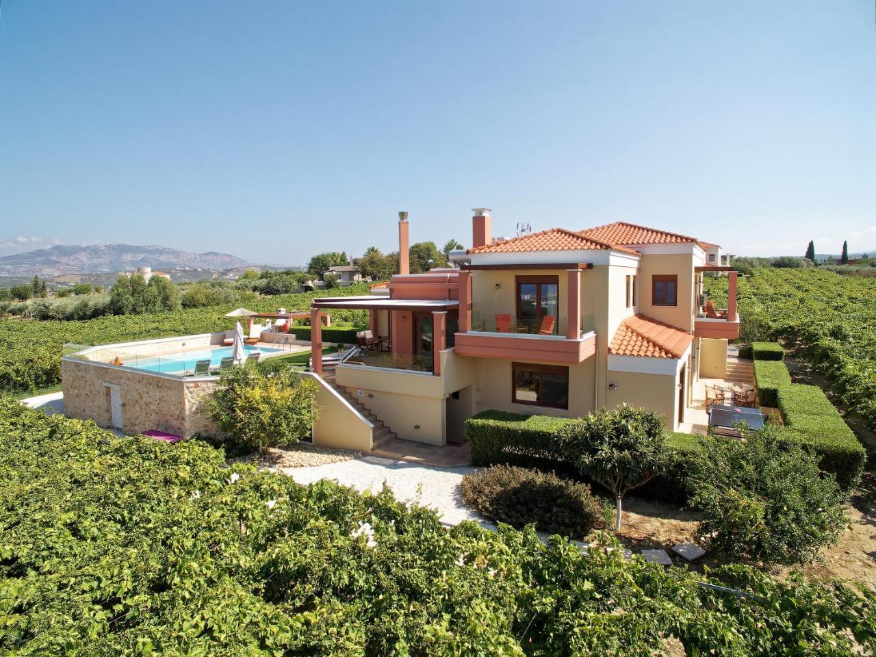 Cretan Vineyard Hill Villa Kato Kalesia Esterno foto