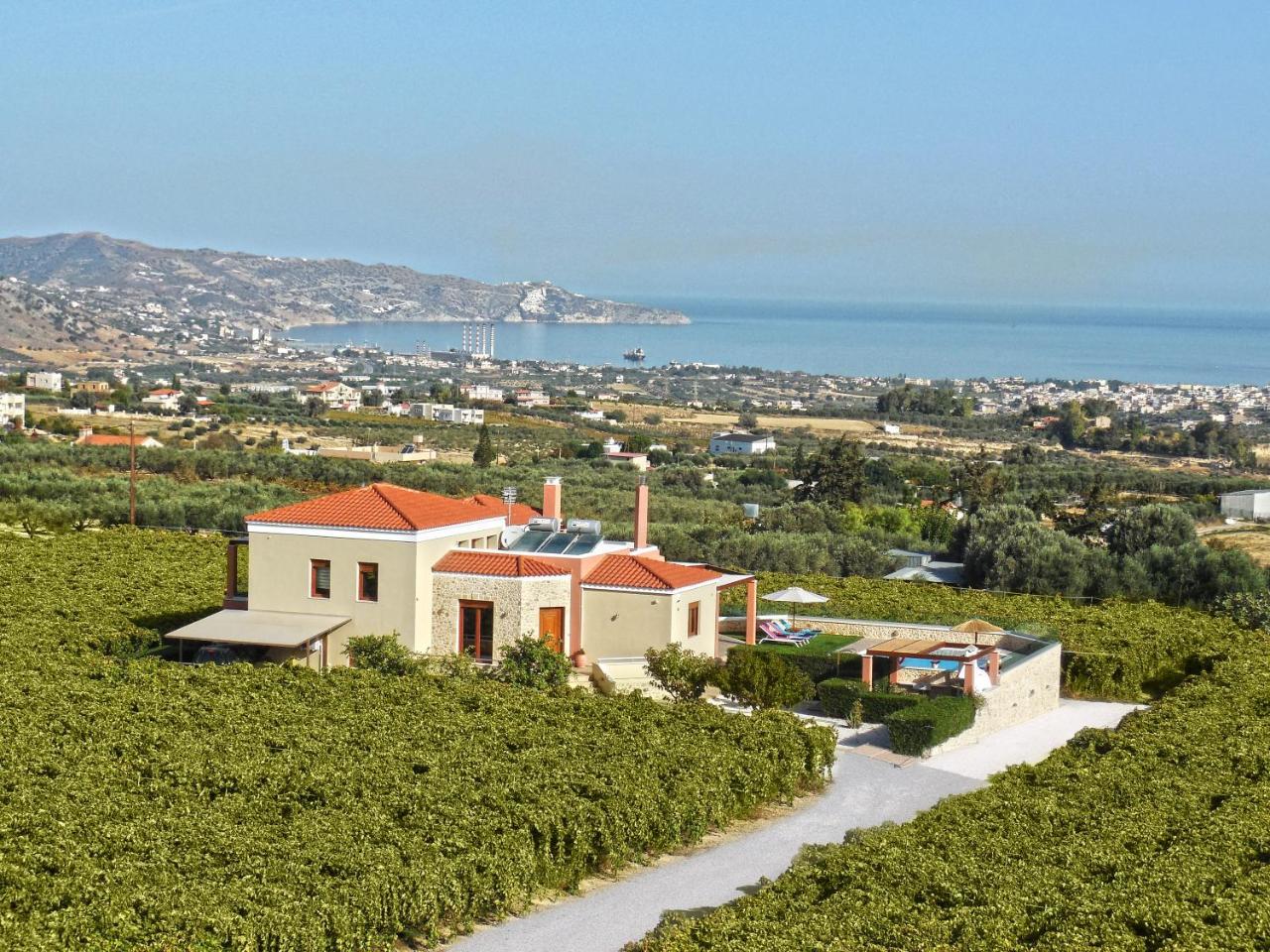 Cretan Vineyard Hill Villa Kato Kalesia Esterno foto