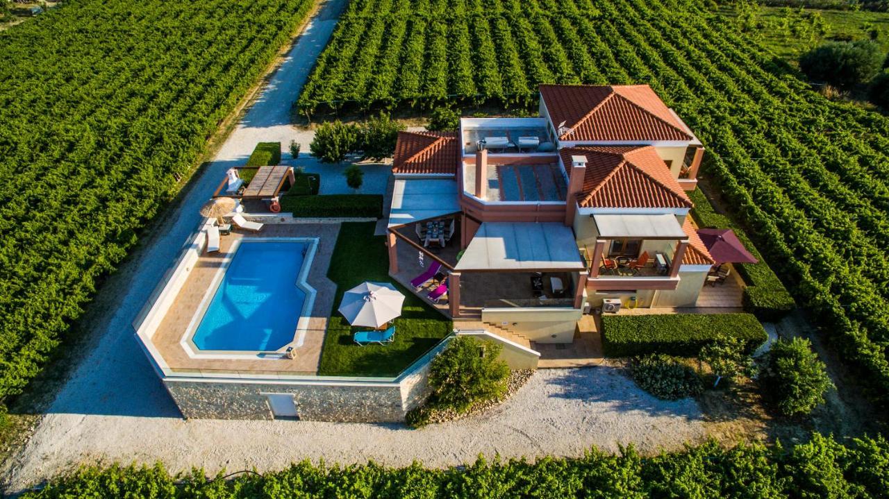 Cretan Vineyard Hill Villa Kato Kalesia Esterno foto